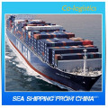 import export agent from china to Europe---ada skype:colsales10